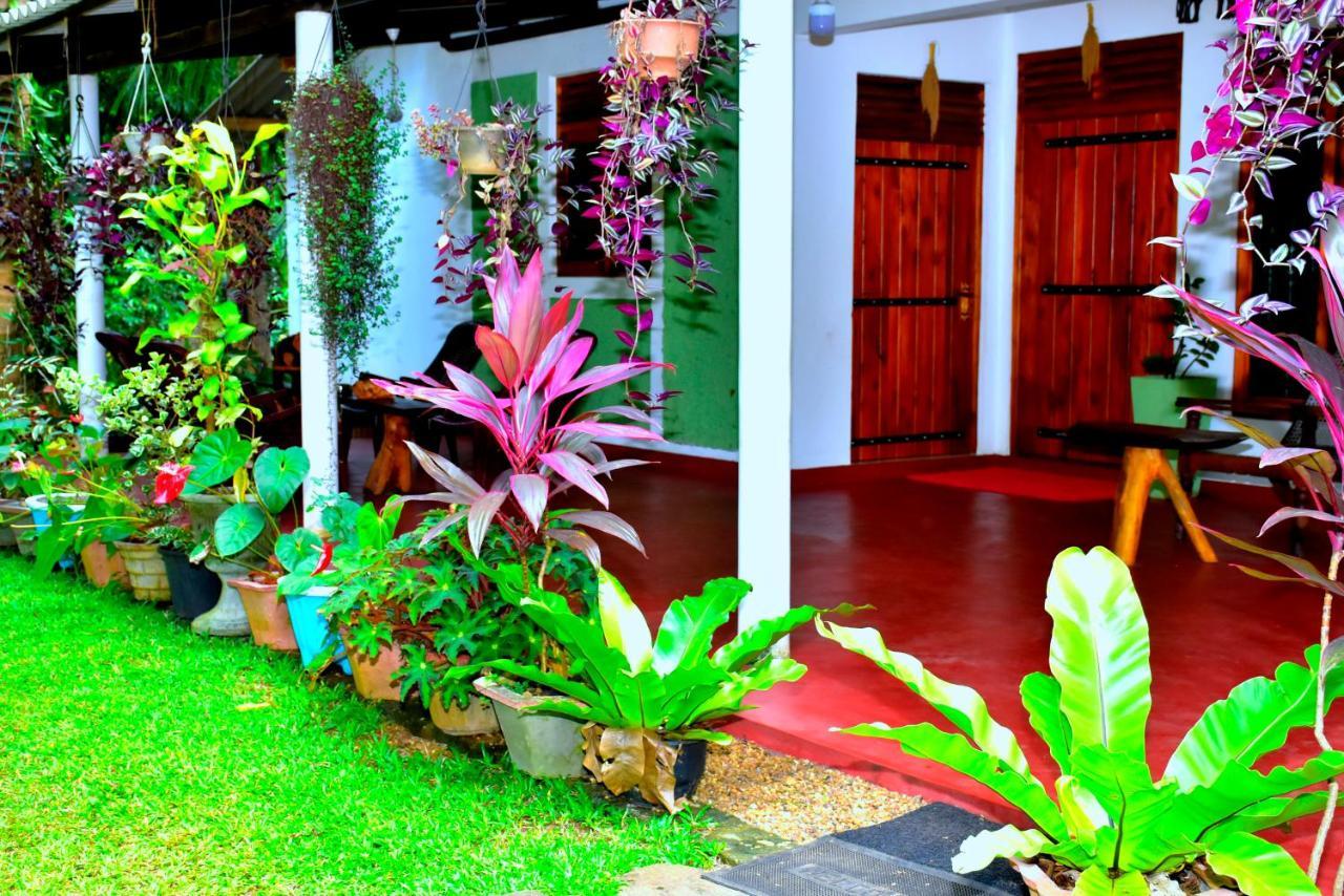 Brookline Safari Resort Udawalawe Eksteriør billede