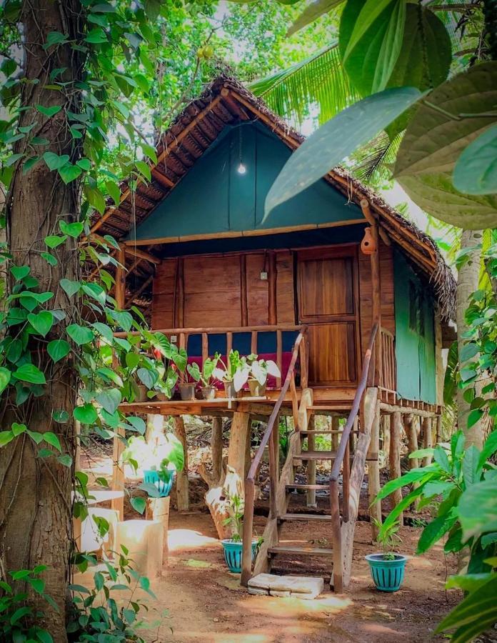 Brookline Safari Resort Udawalawe Eksteriør billede