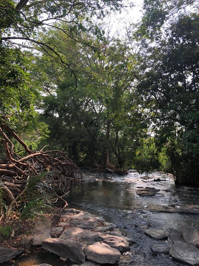 Brookline Safari Resort Udawalawe Eksteriør billede